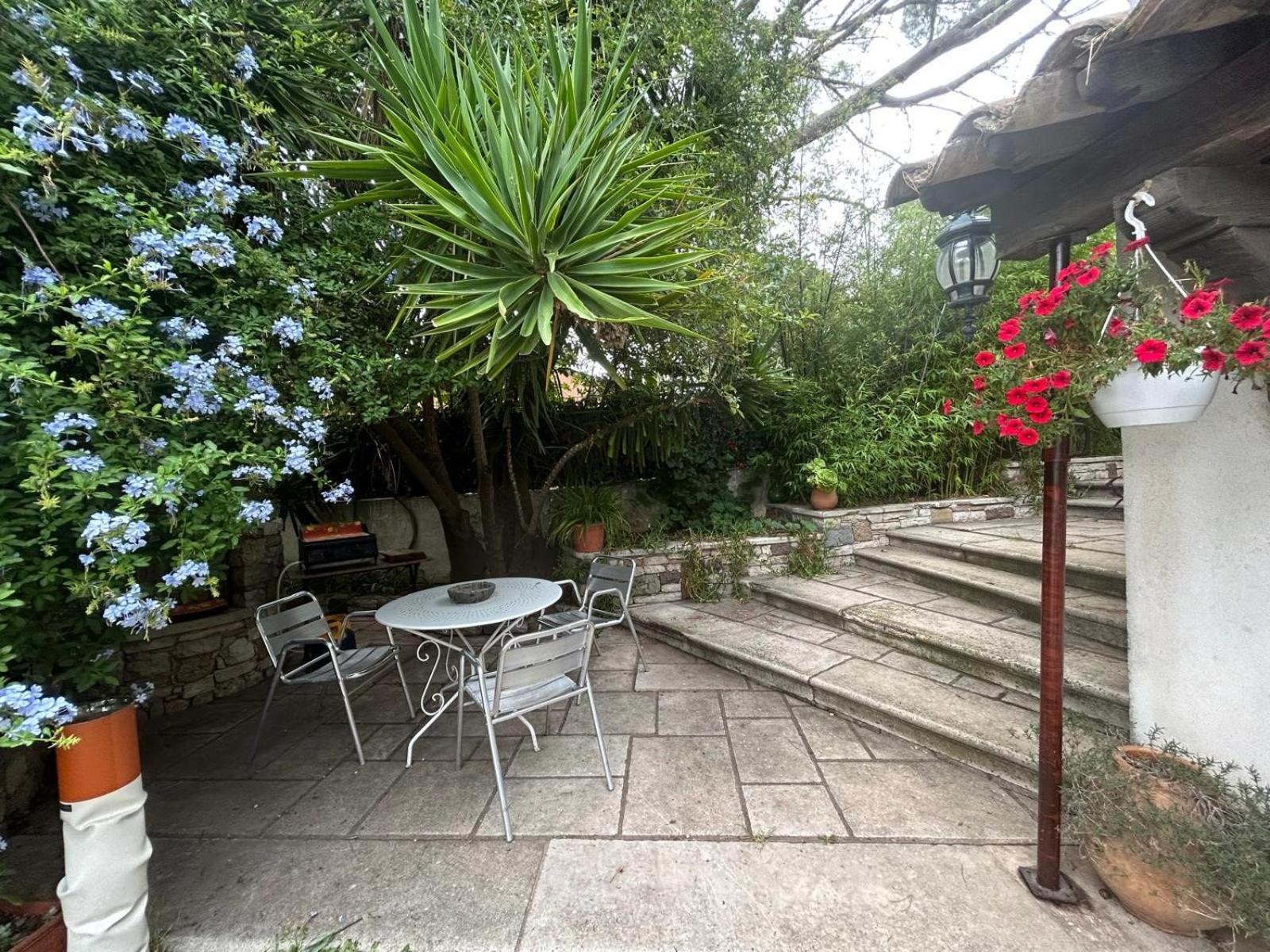 Les Palmiers Apartment เฟรฌูส ภายนอก รูปภาพ